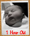 3 Days Old