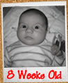 8 Weeks Old