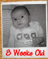 8 Weeks old