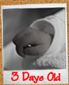 3 Days Old