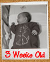 3 Weeks Old