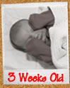 3 Weeks Old - Peek 'a' Boo