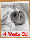 4 Weeks Old - Leave me alone